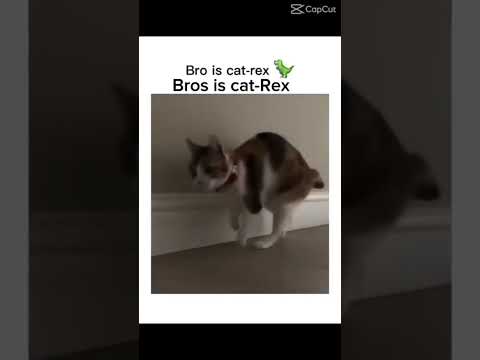 new animal unlocked#memes#viral