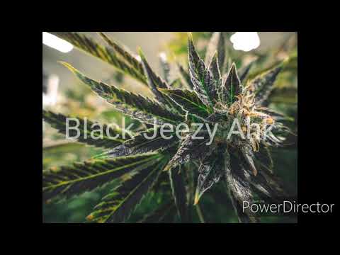 Weed Smoke Freestyle Black Ahk