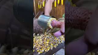 Hand cranked corn thresher #creativity #tools
