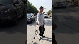 Robot helps disabled people to cross the road #funny #robot #shorts