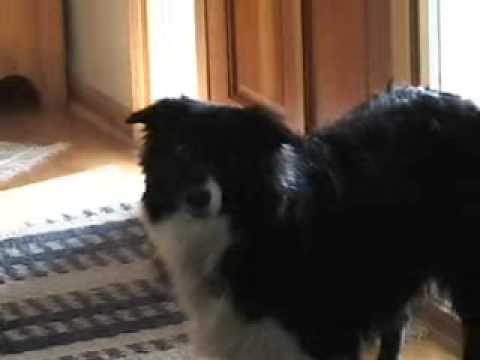 Kirby - 10 Sep 2004