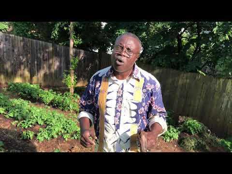 Amba Farmers Voice Amba Farmers Voice