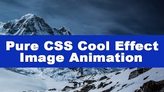 Pure CSS Cool Effect Image Animation | HTML and CSS