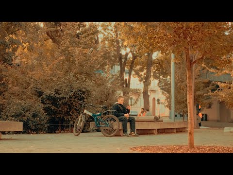 CINEMATIC AUTUMN TBILISI