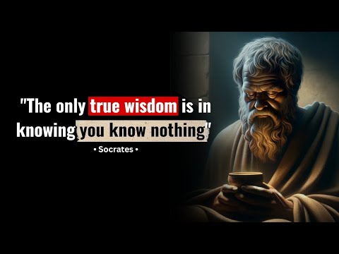 "The only true wisdom is in knowing you know nothing" by Socrates