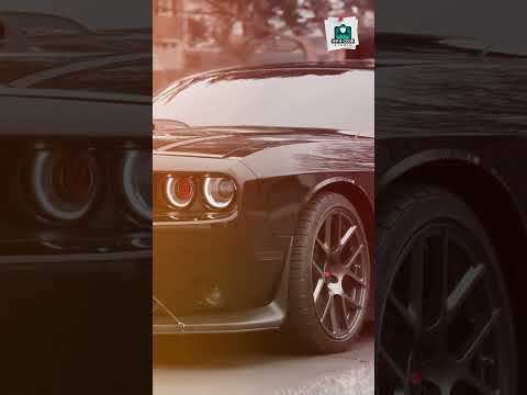 Sometimes Silence Speaks Everything for Coders #LifeTruth