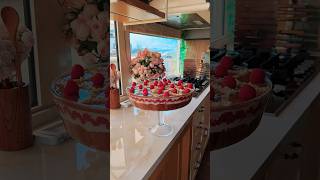 Raspberry lotus dessert 🍨