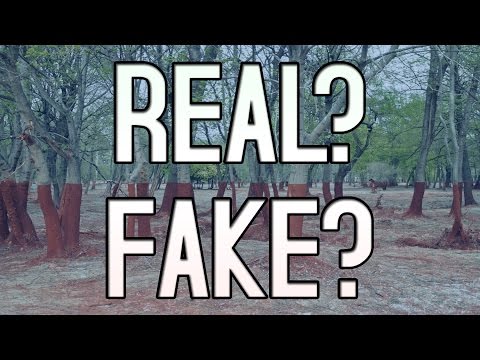 REAL or PHOTOSHOPPED?