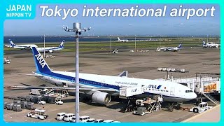 【Live】Tokyo International Airport ,Haneda Plane Spotting (NipponTV News24)  IATA: HND, ICAO: RJTT