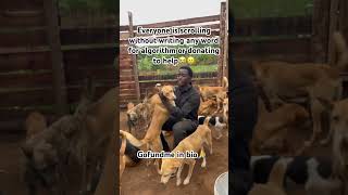 Consider visiting my Gofundme link in bio for donations #help #pets #helpmemakethismakesense