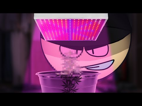 Growing the "Green" - Animated Story