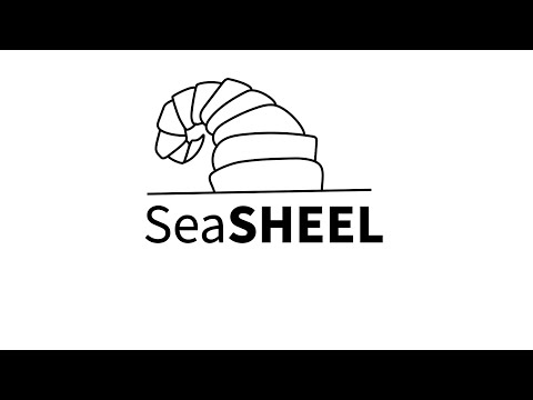 Quick tutorials iPad Pro illustrator logo making
