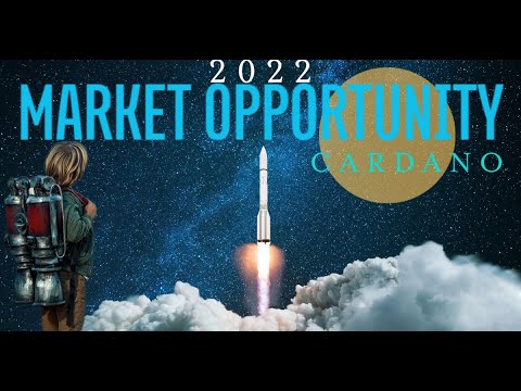 Crypto Market Opportunity: 127 Cardano Projects Under Development