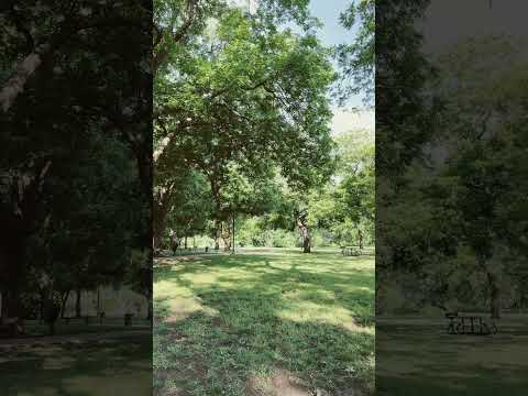 Công viên sáng 17/05/2023