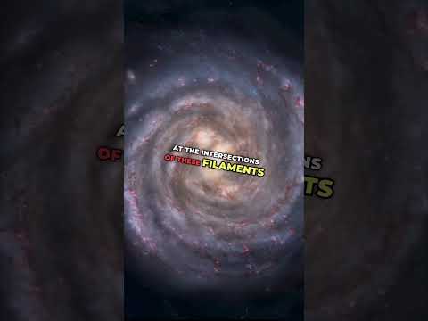 The Cosmic Web!! #cosmicweb #nebulae #galaxy #science #universe #space #foryou #trending #astro