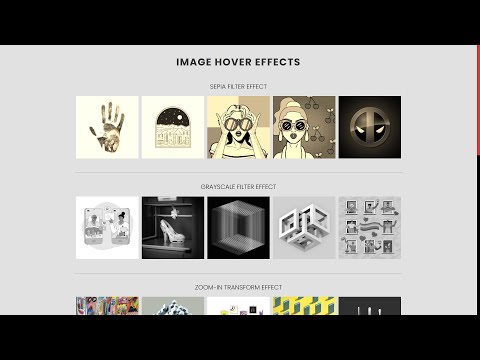 Creative CSS Image Hover Effects | HTML & CSS Tutorial
