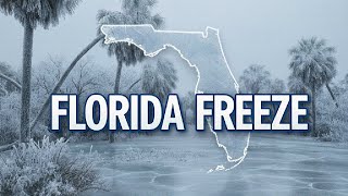 Florida Freeze: Live updates, weather cameras, reports