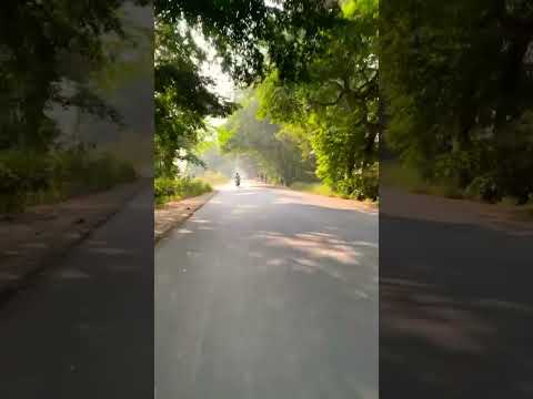Road side view || Bike Ride || Somewhere on earth || Nature