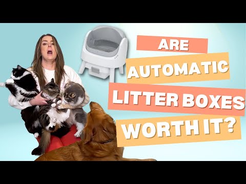 Reviewing The Pet Pivot Autoscooper 11 Self-Cleaning Litter Box