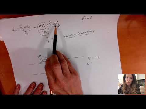 Momentum Conservation in 1 and 2D