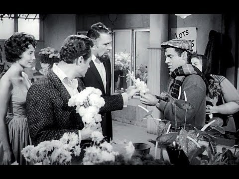 The Little Shop of Horrors (1960) Jonathan Haze, Jackie Joseph