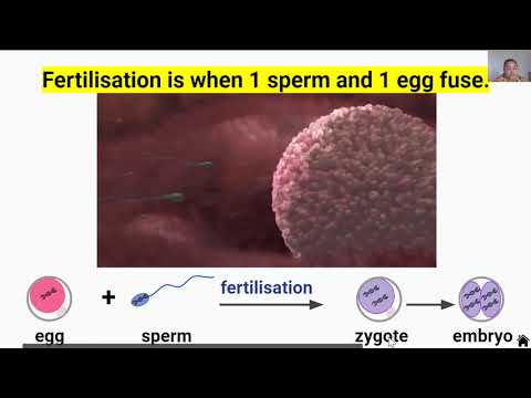 Evolution 1: Sexual and Asexual Reproduction (Video 5 in Yr 10 Living World Series)