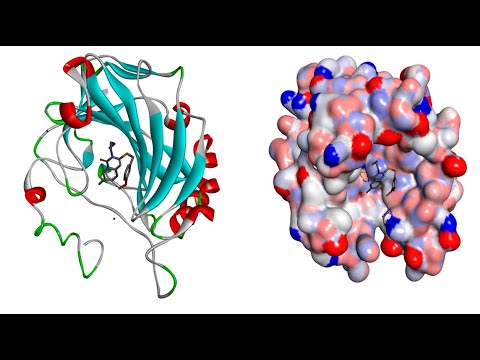 Learn Molecular Docking Easily using PyRx Virtual Screening Tool #Part 2