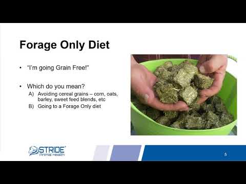 Equine Diet Balancers - Bluebonnet Feeds & Stride Animal Health