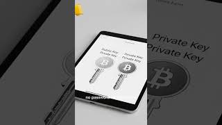 ‎Public vs. Private Key: The Bitcoin Security Essentials