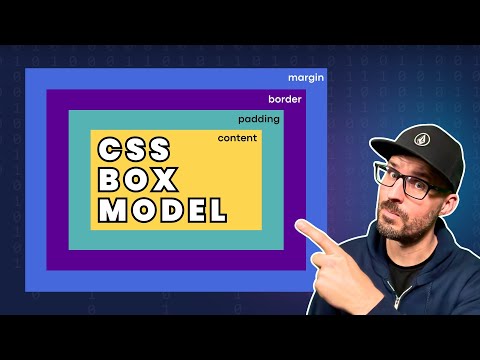 The CSS Box Model — Everything You Need To Know!
