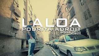 Pouriya Adroit - La Lo A (Official Music Video)