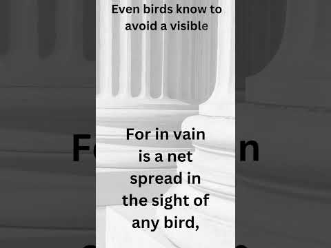 Day 17 FIRM Daily Proverbs 1:17 – Don’t Fall for the Trap #faith #bibleverse