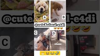 cute animals funny video trending shorts 😍PT-56 #cuteanimalsfunnyvideos​ #funnycomedyshorts #funnl