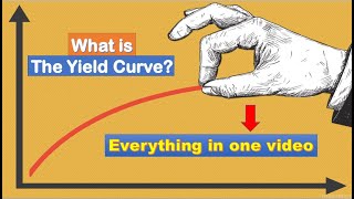 ALL Info IN 1 Video!!! Yield Curve | Types | How it works | Influencing Factors | Importance |