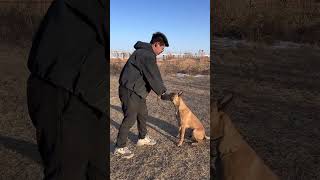 Wait Here! Is This a City? Unveiling the Mystery of Delayed Arrival