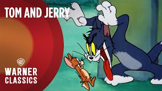 🔴 LIVE: Tom and Jerry Golden Era Live Stream! | 1940's-1970's | Warner Classics