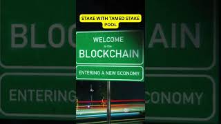 #cardano #cardanoarmy #cardanoupdate #cardanoada #cardanoadatoday #stakeholder #cryptocurrency #btc