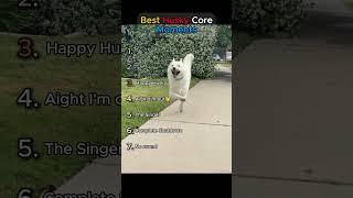 Best Husky Core Moments🤣 (Unbelievably hilarious!!)