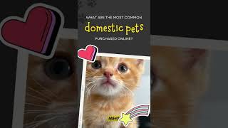 Adpost Shorts - What Are The Most Common Domestic Pets Purchased Online?