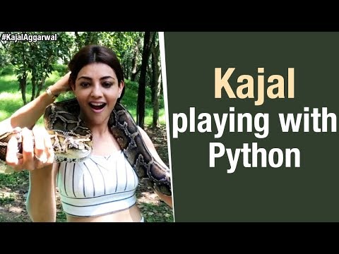 Kajal Aggarwal Playing with Python | #KajalAggarwal | Shoot Dairies Thailand | #BSS5