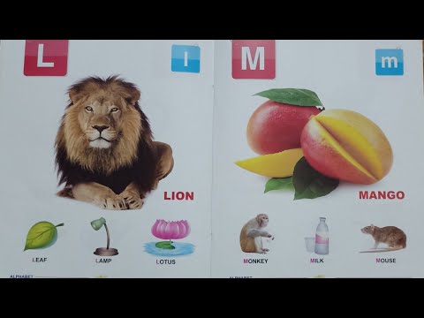 A B C D_ _ _ _ X Y Z ||  The Alphabet Learning For First Step 🍎⚽️🐈🐆#abcd #alphabet