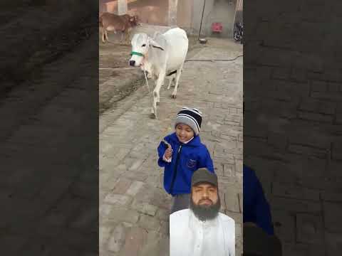 shortsvideo #1million #viral #comedy #trending #kids shortsvideos