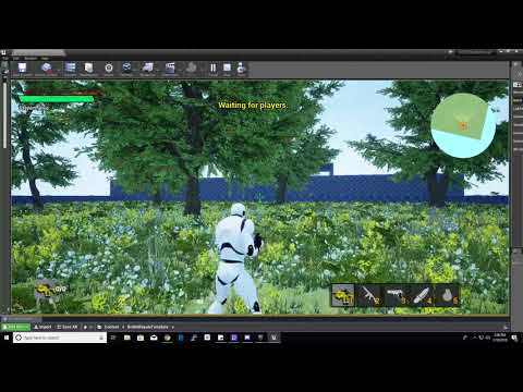 Animation Issue
