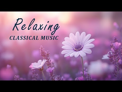 Relaxing Classical Music for the Soul and Mind — Beethoven, Mozart, Chopin, Tchaikovsky, Bach