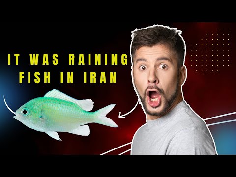 It was l Raining Fish l in Iran