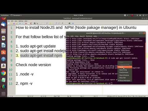 NodeJS &  NPM Installation Tutorial