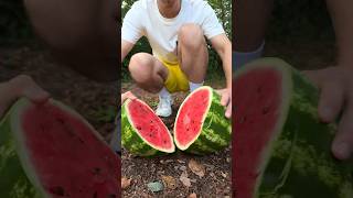 🍉 WATERMELON lifehack for SURVIVAL 💦 #camping #survival #bushcraft #outdoors #lifehack