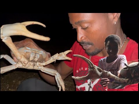 Hunting mud crabs in the night catch clean and cook for the kids