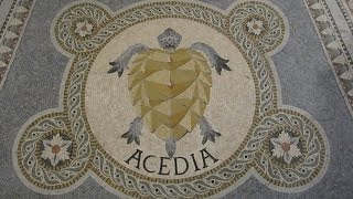 Virtue Ethics | Moral Virtues | Acedia