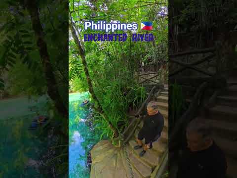 Philippines 🇵🇭 - Surigao del Sur, the Enchanted River #Philippines #Enchantedriver #travel